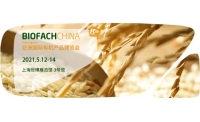 土也球亮相第十五届亚洲