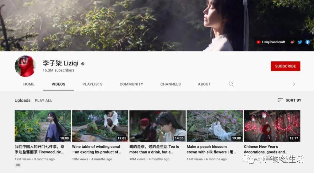 关于李子柒的三个故事