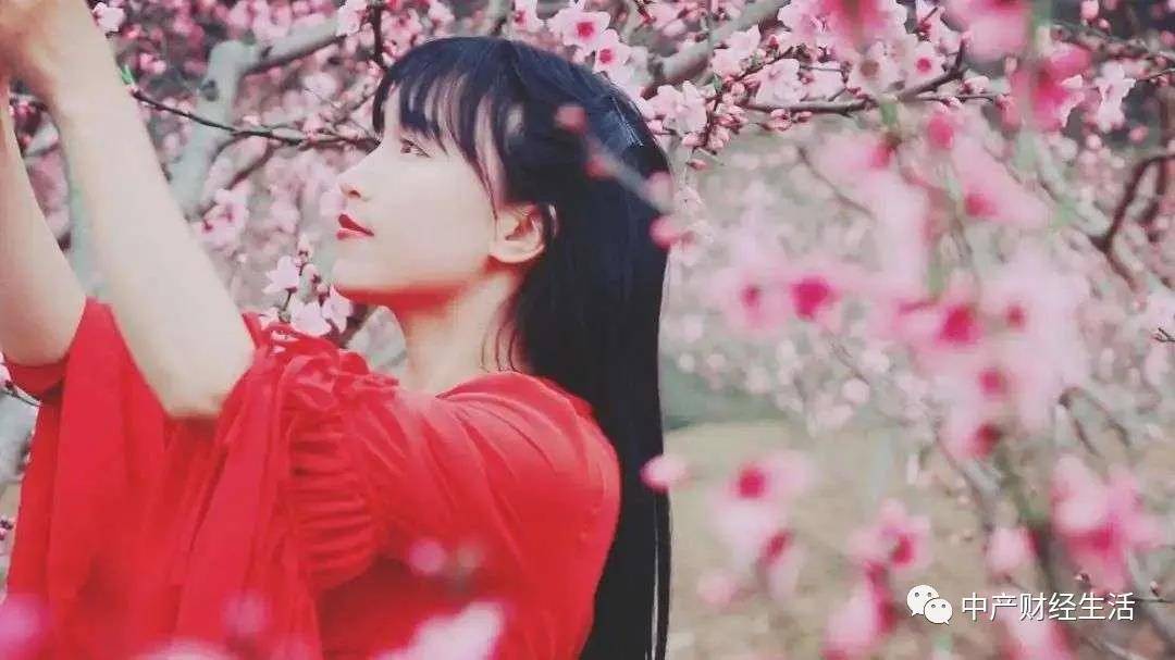 关于李子柒的三个故事