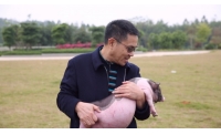 百亿身家的“北大猪肉佬