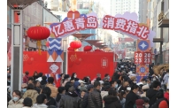 都乐时Dolosh功能性宠粮亮相“亿惠青岛”消费年活动引消费热潮