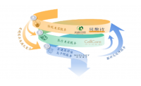 拥抱创新时代，美丽田园