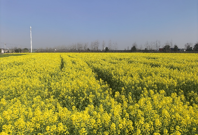 1774850280833270.png 图片1.png