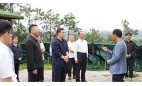 国家中药材产业技术体系调研组赴文山调研，苗乡三七助力中医药传承创新发展